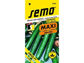 Okurka  hadovka ORCA  F 1 MAXI