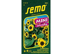 Slunečnice ROČNÍ WAOOH!