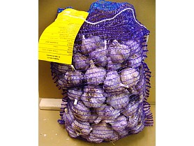Sadbový česnek TOPAZ cca 5 kg - paličák