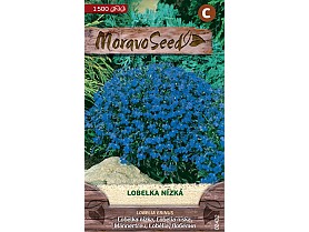 Lobelka nízká modrá