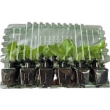 Salát PIA přísada 12ks v přepr.boxu AGRI