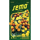 aksamitník PETIT SMĚS