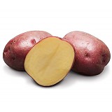 Sadba brambor CAMEL  polorané 25kg