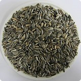 Biostan Slunečnice žíhaná  0,5 kg