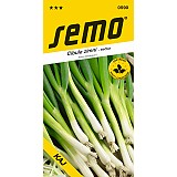 CIBULE zimní - sečka KAJ
