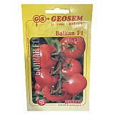  Rajče BALKAN  F1 GEOSEM