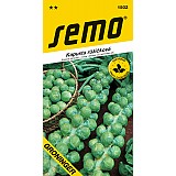 Kapusta růžičková GRONINGER