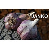 Cukroměr 0 - 20 %   