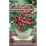 Rajče keříčkové balkónové VILMA