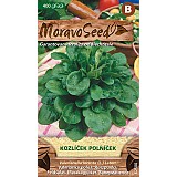 Kozlíček POLNÍČEK