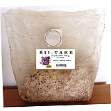 Sadba ŠII take  cca 0,5 kg