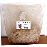 Sadba ŠII take  cca 1 kg