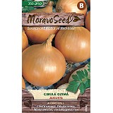 Cibule ozimá Augusta 