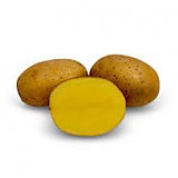 Sadbové brambory OSCAR polorané 5kg