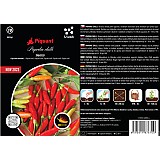 Paprika chilli Tabasco 